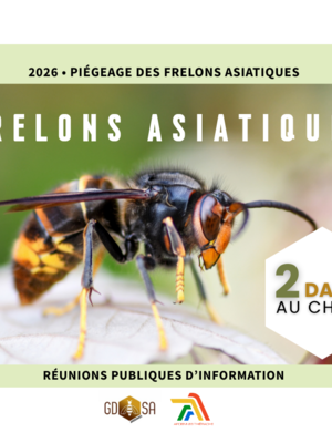 réunions d'information campagne de piégeage 2026 frelons asiatiques