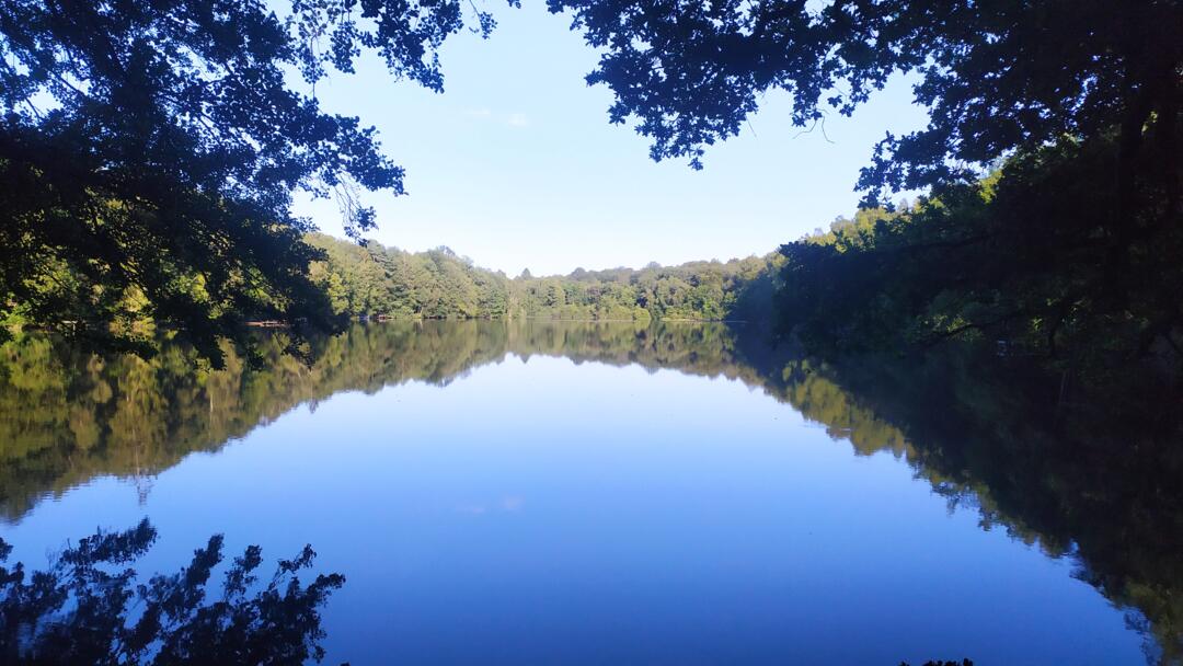 Balade contée - étang de la Gorge - 13 aout 2021
