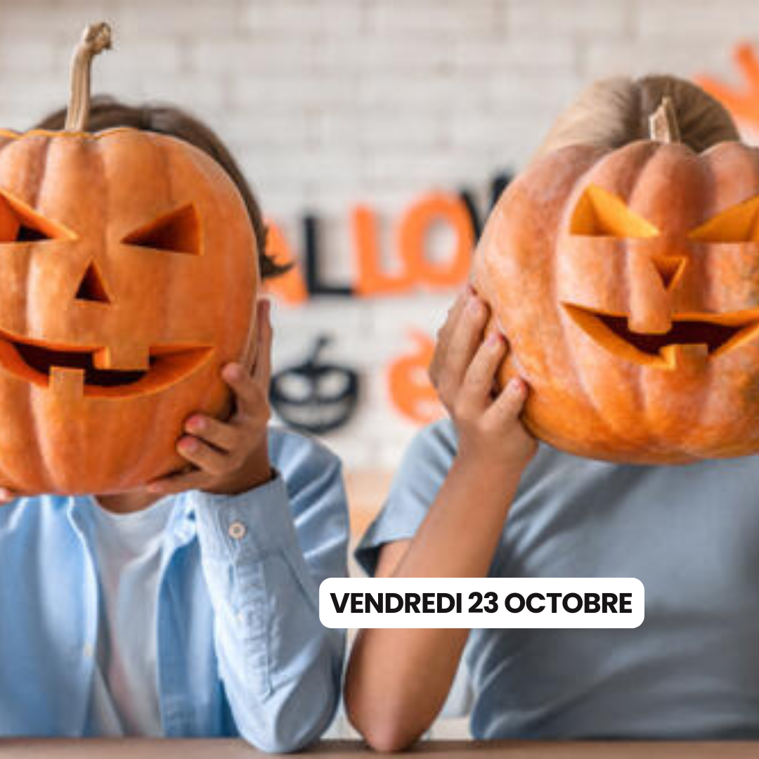 animation du 23 octobre
