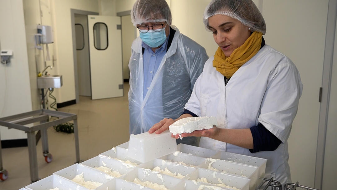 Chèvrerie des ardennes