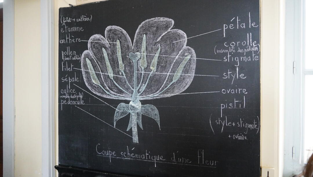 conseil communautaire jeunes au musée de l'école d'hier