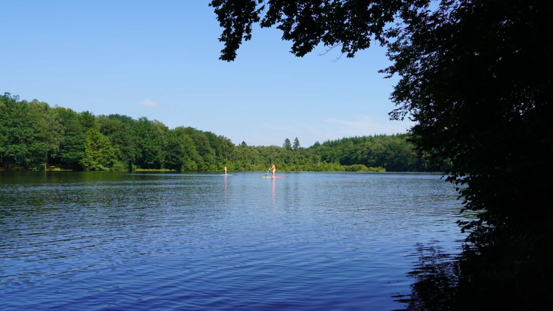 etang de la motte juille 2021

