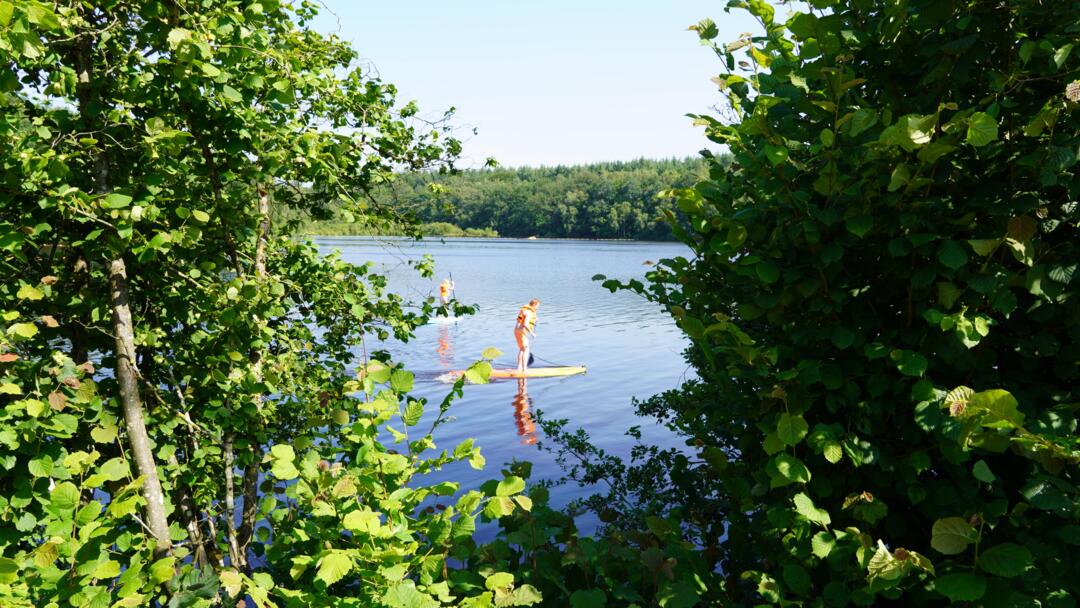 etang de la motte juille 2021
