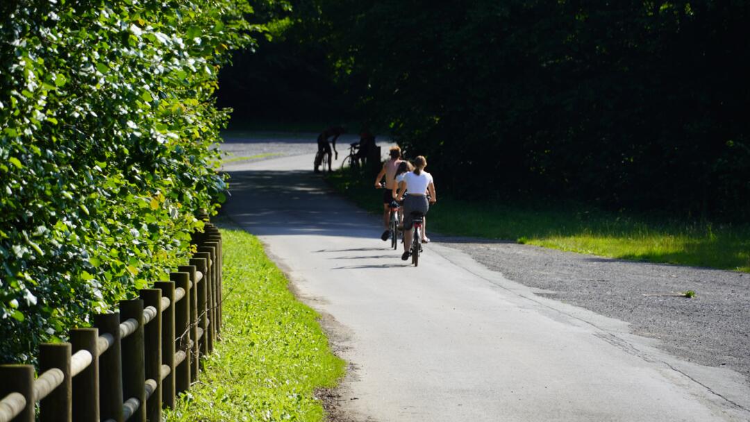 etang de la motte juille 2021
