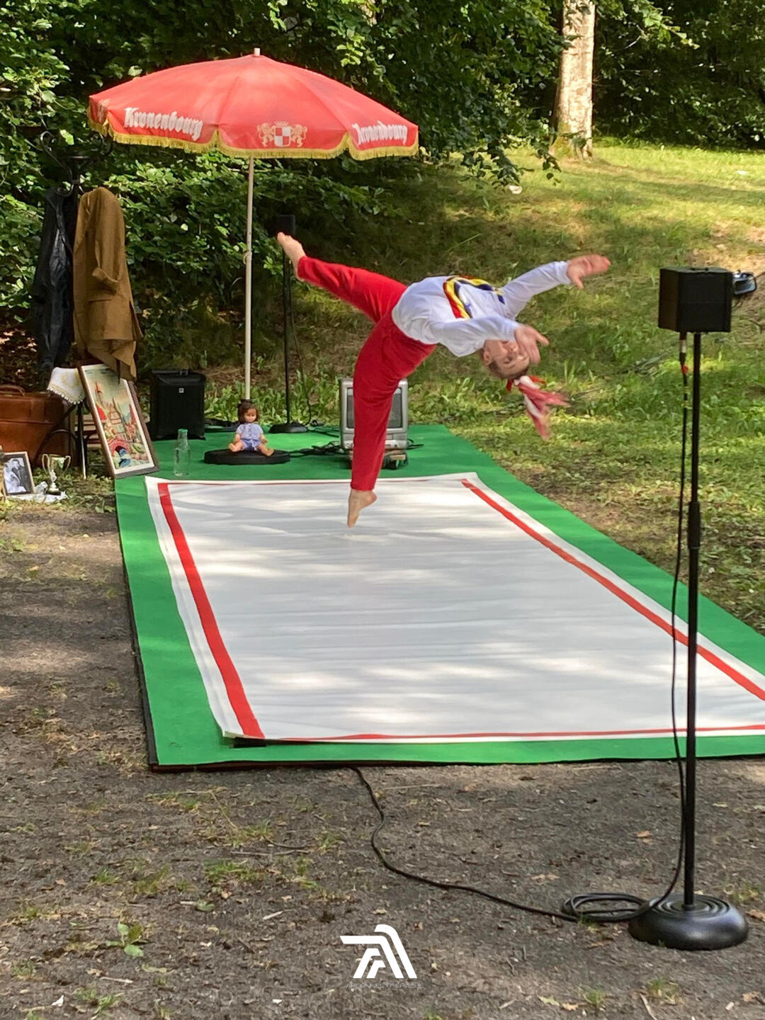 Flam(m)e Etang de la Motte Juillet 2024-4.jpg