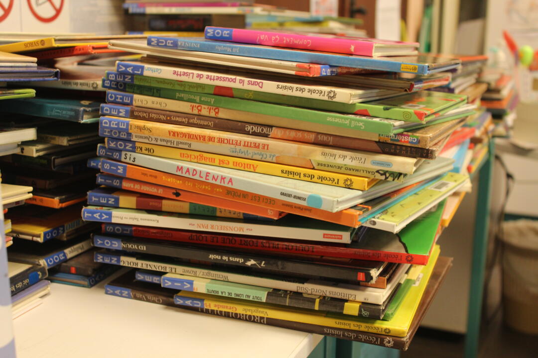 renouvellement fonds médiathèque 