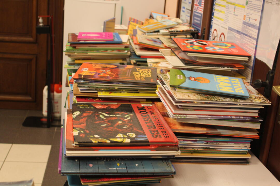 renouvellement fonds médiathèque 