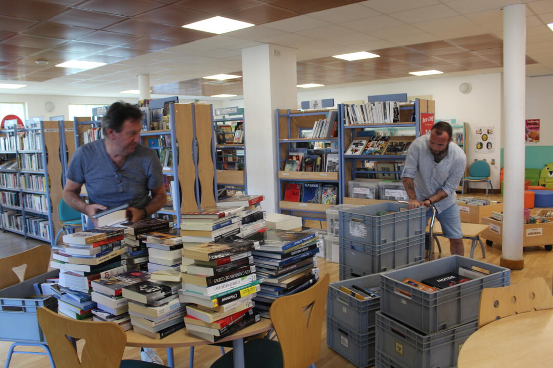 renouvellement fonds médiathèque 