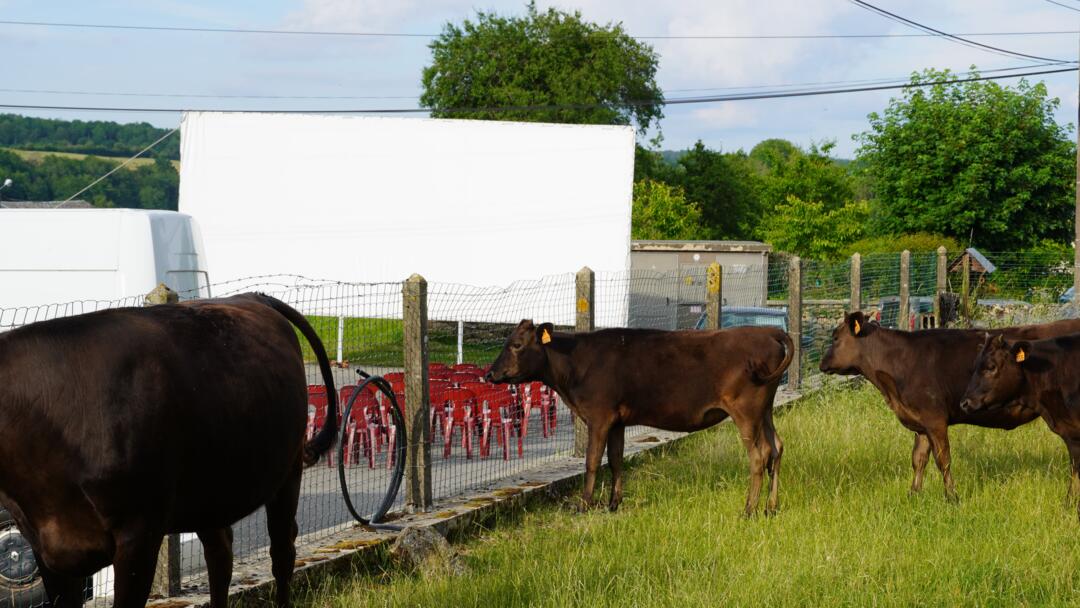 Inauguration cinema en plein air Chilly