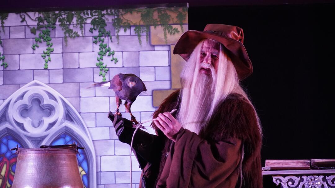 spectacle merlin et Igor