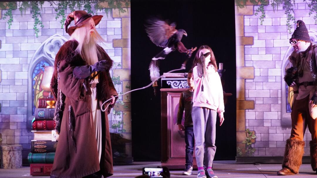 spectacle merlin et Igor