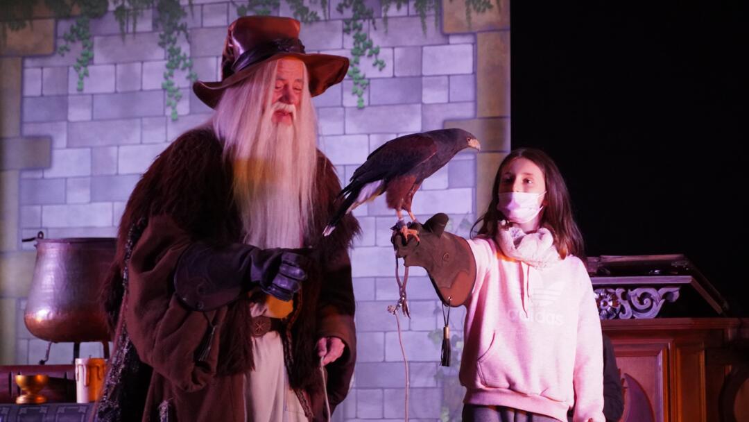 spectacle merlin et Igor