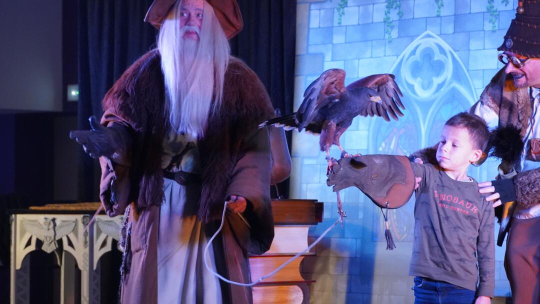 spectacle merlin et Igor