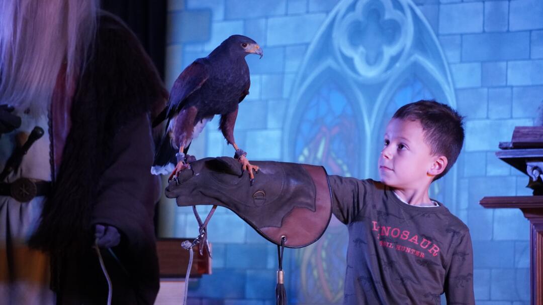 spectacle merlin et Igor