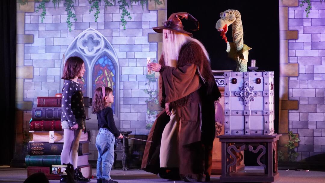 spectacle merlin et Igor