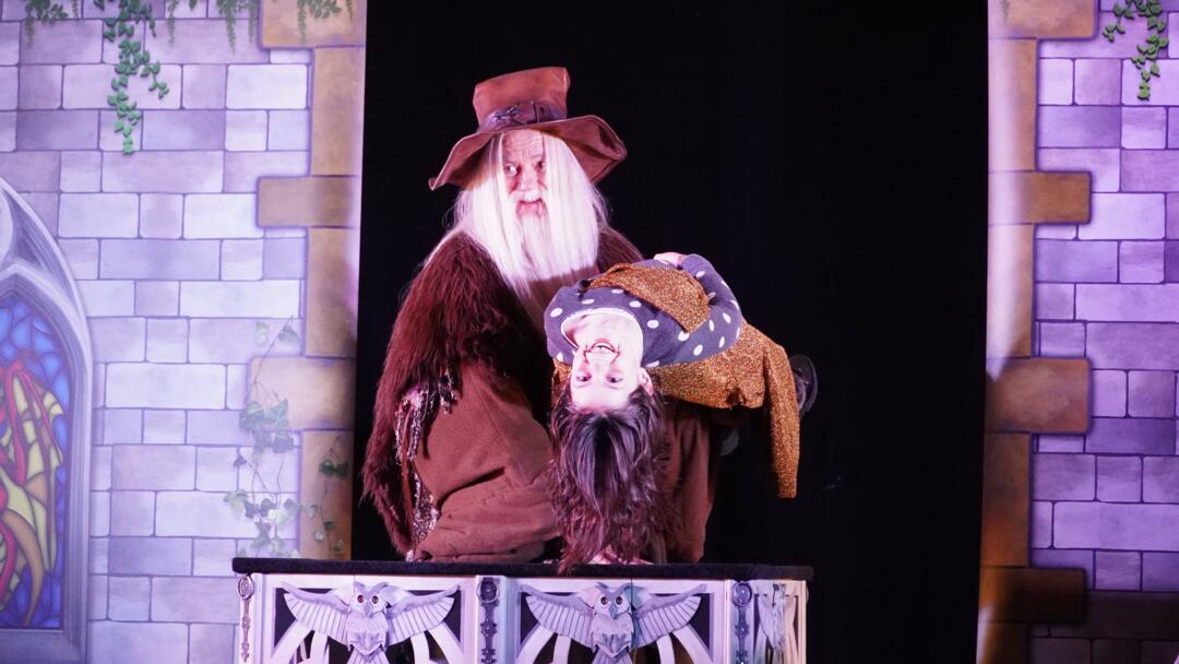 spectacle merlin et Igor