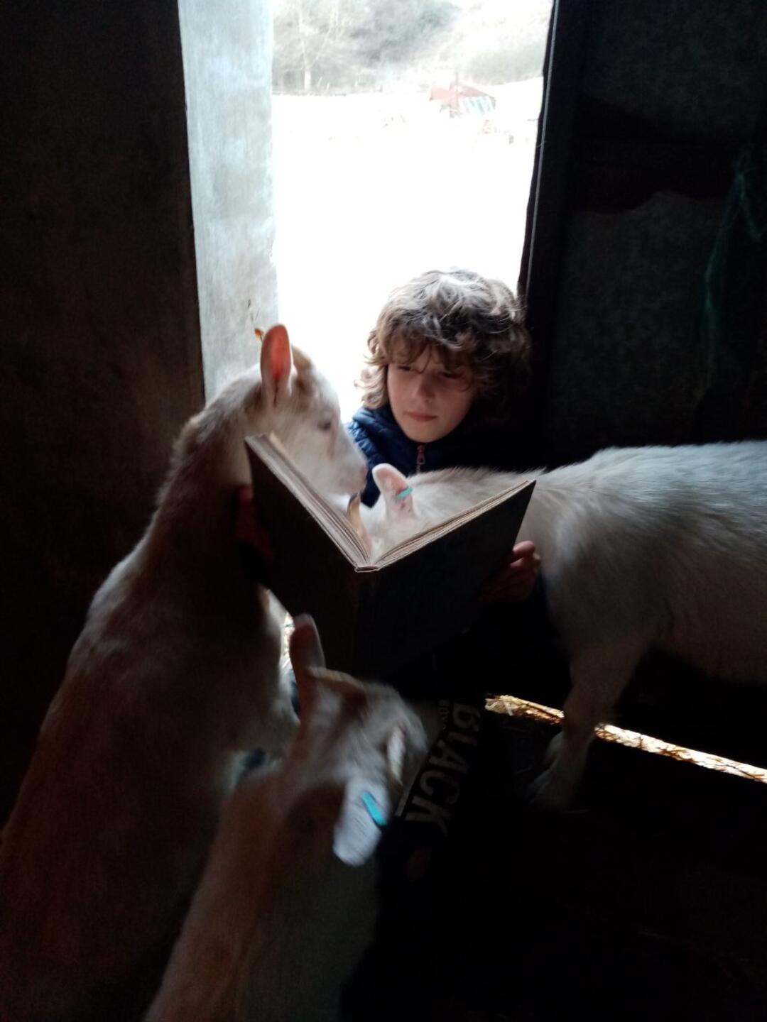 Lecture en bonne compagnie