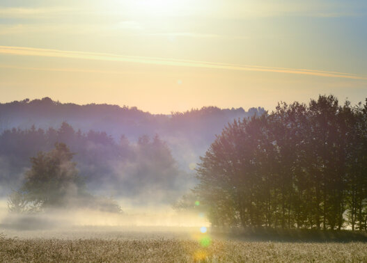 Ardennes Thiérache campagne soleil brume