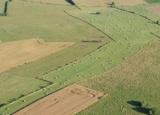 Champs meule vu du ciel