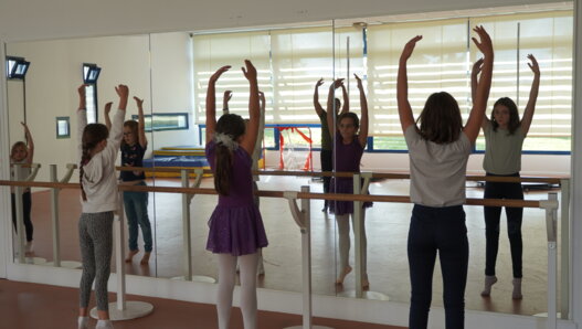 Danse classique EIAV