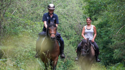Equitation Ardennes Thierache