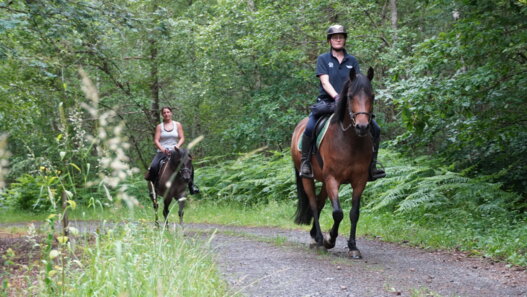 Equitation Ardennes Thierache