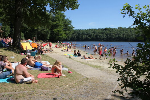 Etang de la Motte Ardennes Thierache