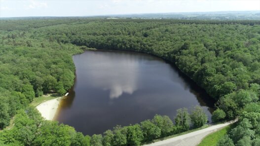 Etang de la Motte Ardennes Thierache