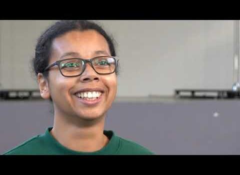 Ecole des Arts Vivants Ardennes Thiérache - Pole dance