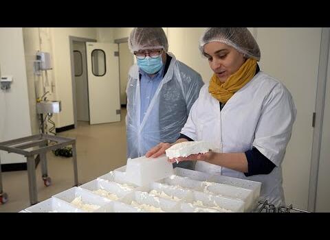 Agriculture Ardennes Thiérache -  La Chevrerie des Ardennes