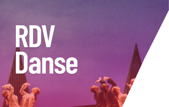 Photo d'un extrait du ballet Le Parc diffusé avec la microfolie Ardennes Thiérache