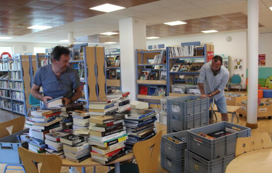 renouvellement fonds médiathèque 